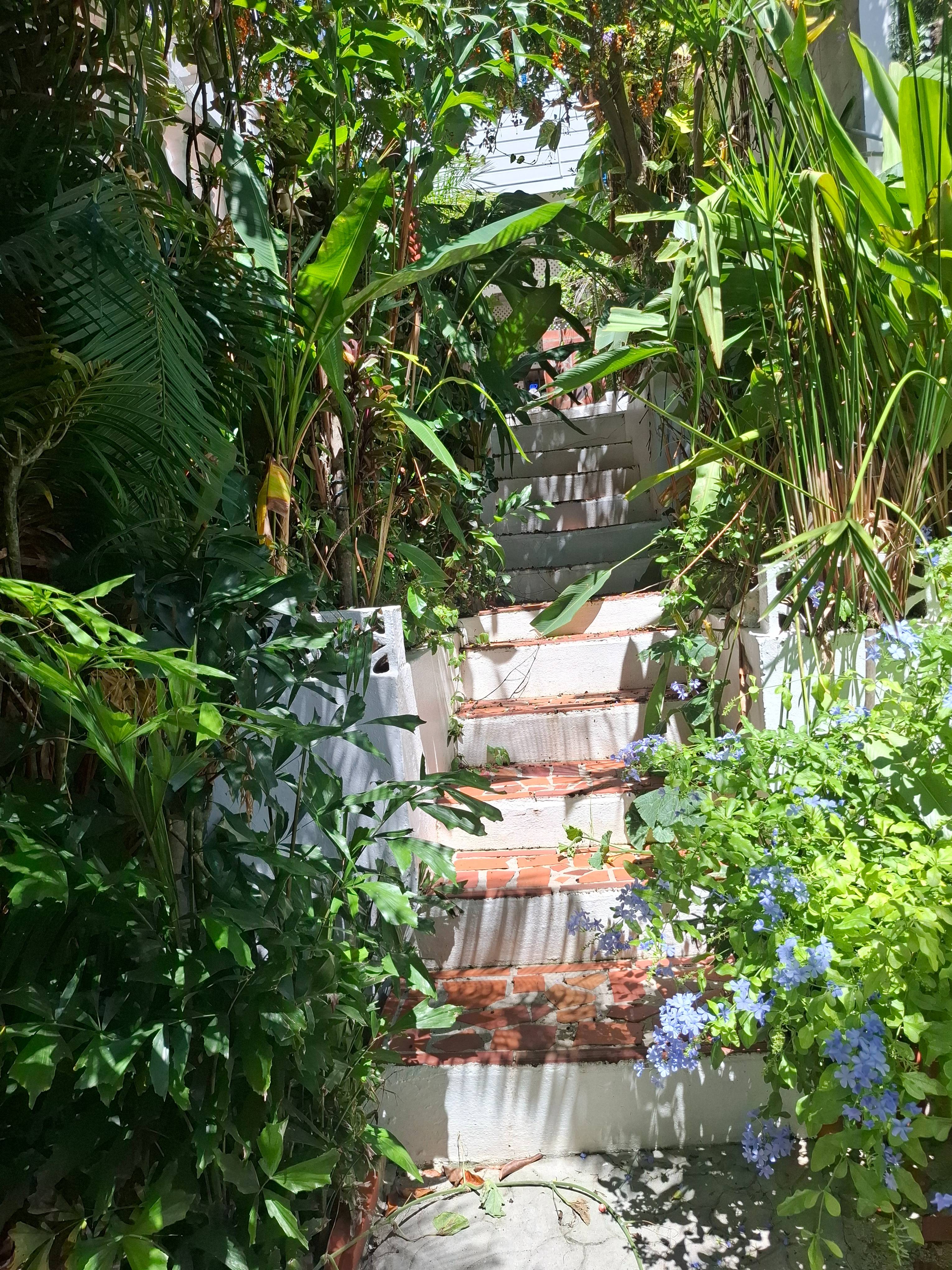 Espoir – Resort Photos at Apartment Espoir, Saint Lucia