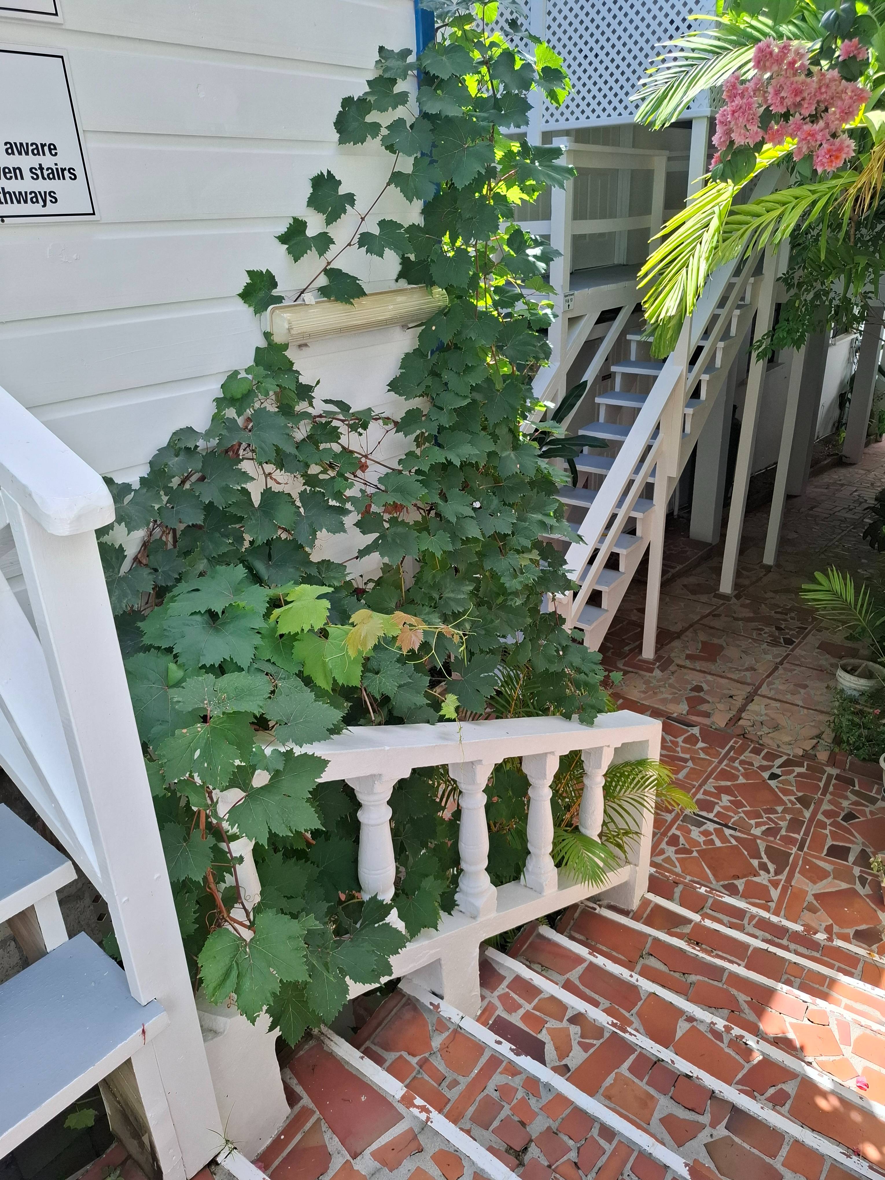 Entrance – Apartment 2 at Apartment Espoir, Saint Lucia