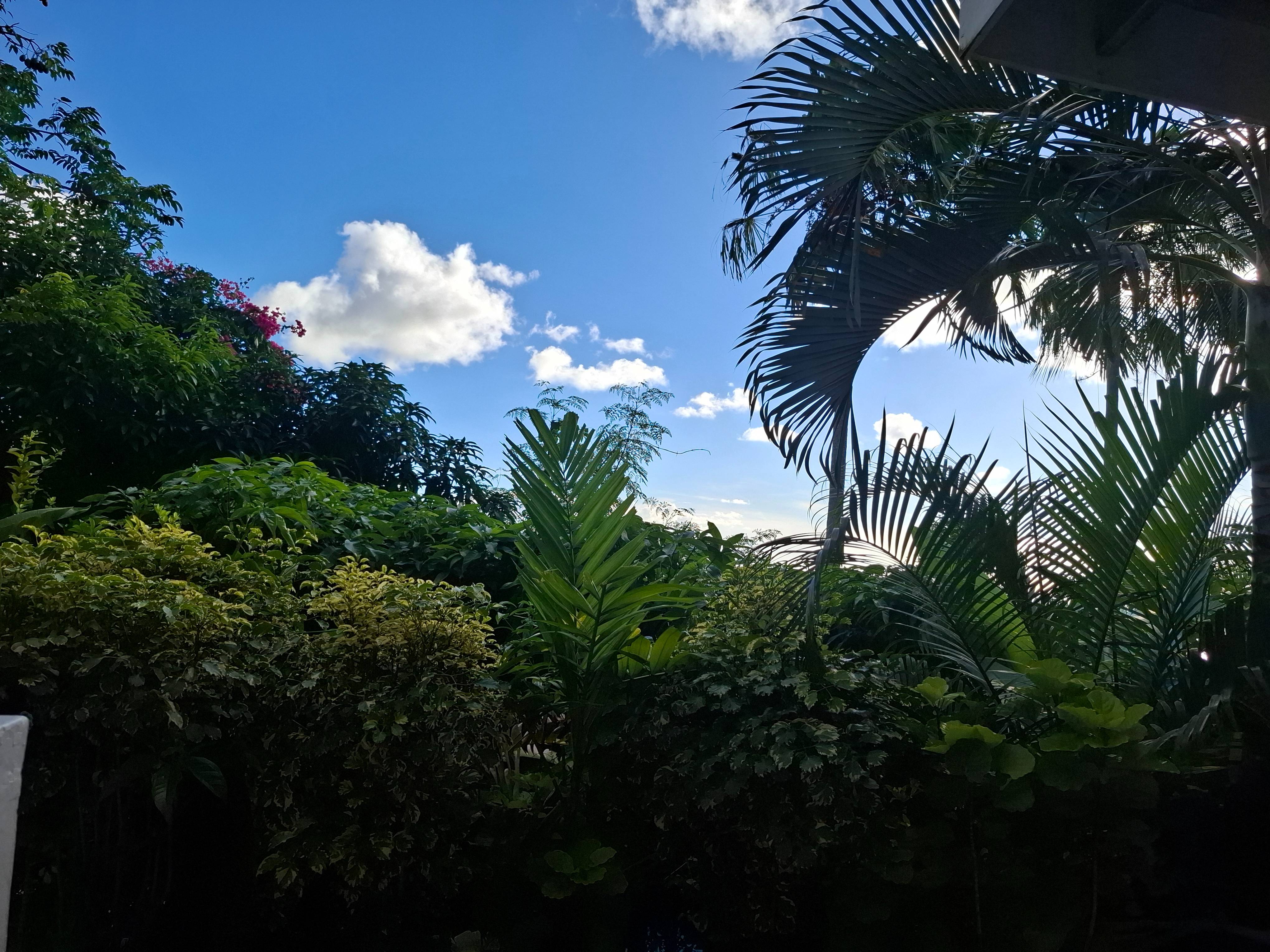 Balcony – Apartment 7 at Apartment Espoir, Saint Lucia