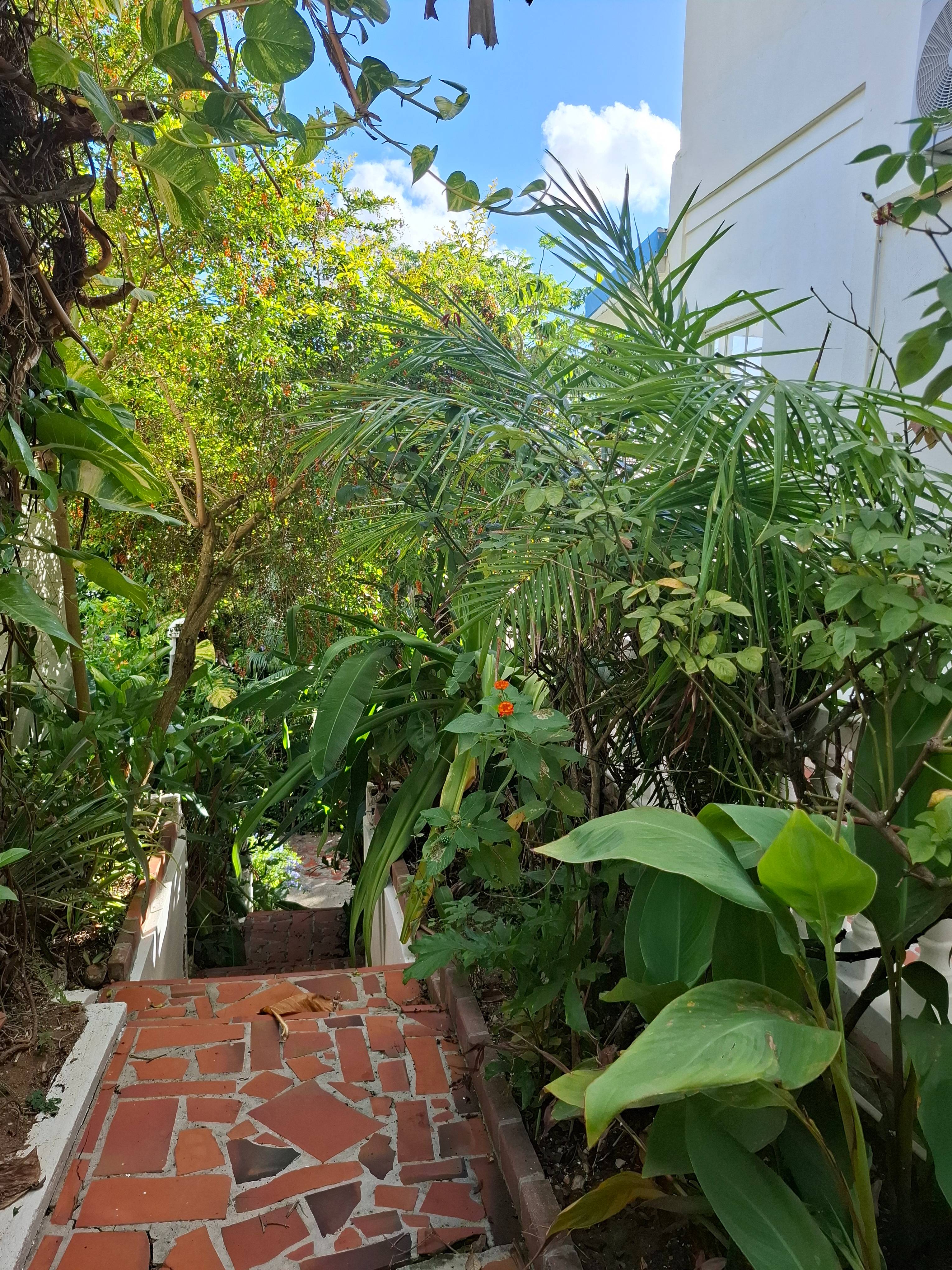 Zu Apt 6 20261017 155803 – Vicinity at Apartment Espoir, Saint Lucia